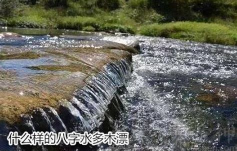 水多木漂|什么是水多木漂